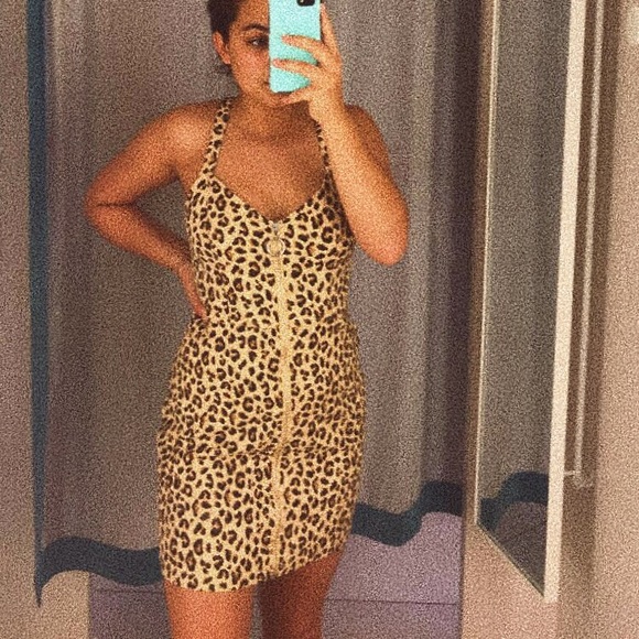 arianna_fuller